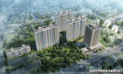 仅仅盯动手中的旧